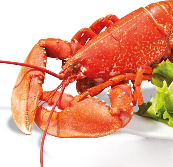 offres larmor ete2025 homard 1