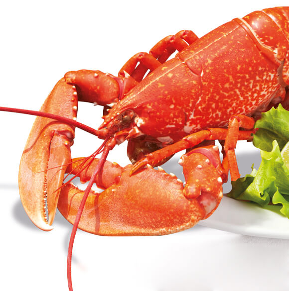 offres larmor ete2025 homard 1